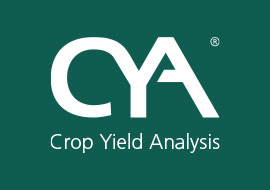 CYA GmbH